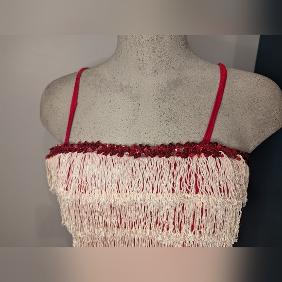 Women’s Red sparkle Fringe 1920’s Flapper Great Gatsby Costume Dress Size XS/S - Picture 11 of 14